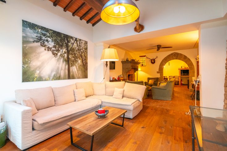 Ein einfaches, gut beleuchtetes Wohnzimmer mit einem gemütlichen Sofa und einem Blick auf eine natürliche Wand.