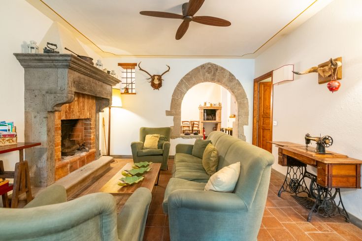 Ein gemütliches Wohnzimmer mit Kamin, grünen Sofas und Holzelementen. Eine rustikale und entspannte Atmosphäre.