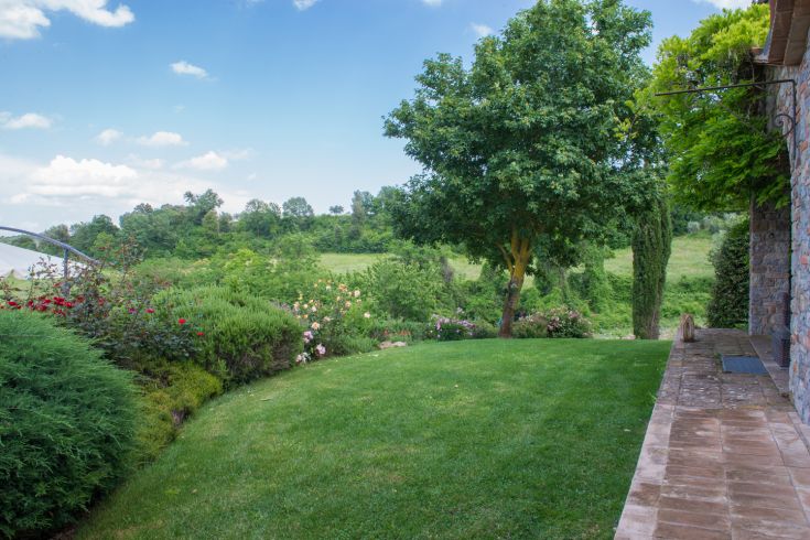 Ein gut gepflegter Garten mit einer Vielzahl von Pflanzen und Blumen, umgeben von einer ruhigen und natürlichen Atmosphäre.