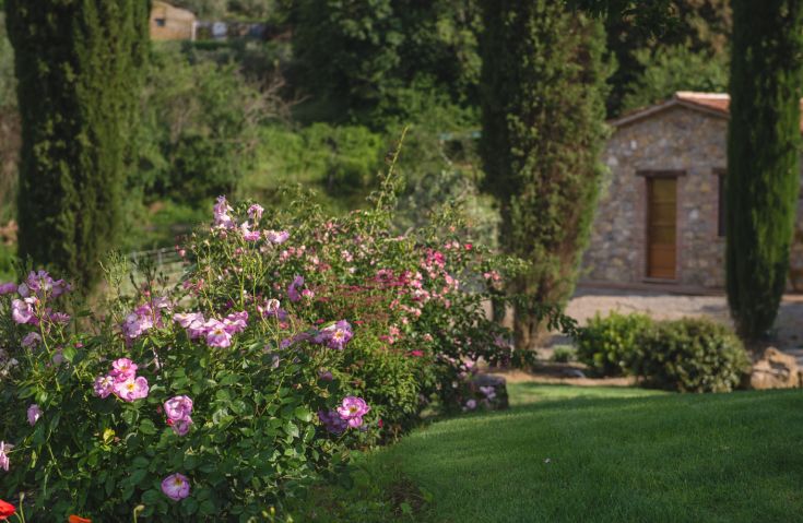 Ein Garten mit verschiedenen blühenden Pflanzen, umgeben von Natur und einem Steingebäude im Hintergrund.