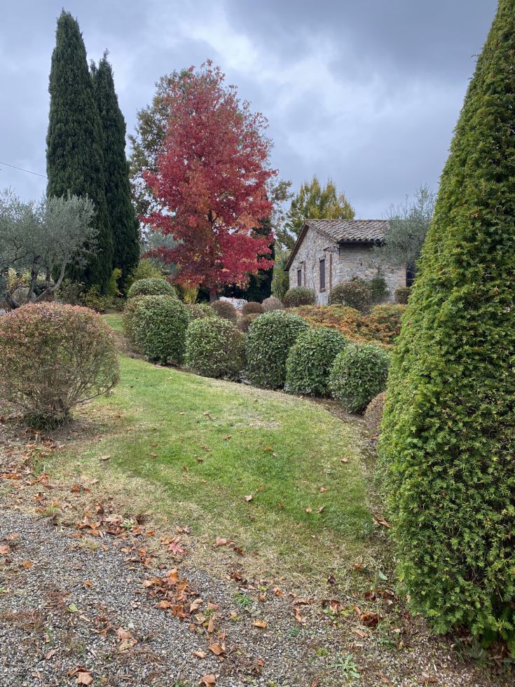 Ein herbstlicher Garten umgibt ein Gebäude, mit Blättern in verschiedenen Farben, die eine ruhige Atmosphäre schaffen.