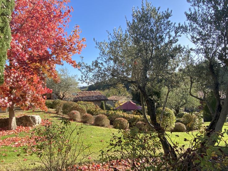 Ein gepflegter Garten mit Pflanzen und Bäumen, unter einem ruhigen Himmel. Ein idealer Ort zum Entspannen.