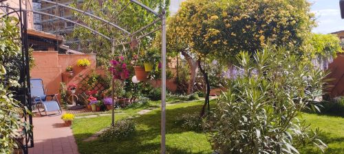 A garden featuring various plants and flowers with relaxing areas and a serene atmosphere.