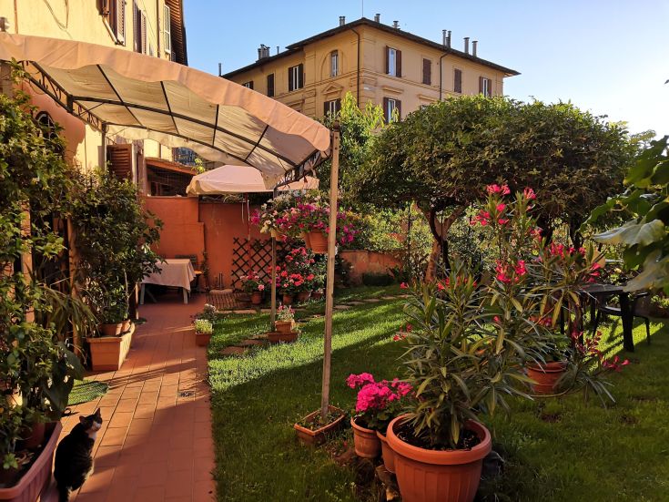 A well-maintained outdoor garden with blooming plants, ideal for relaxation and socializing.