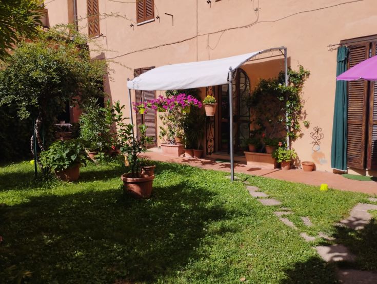 Simple garden with various plants and flowers, perfect for enjoying peaceful moments outdoors.