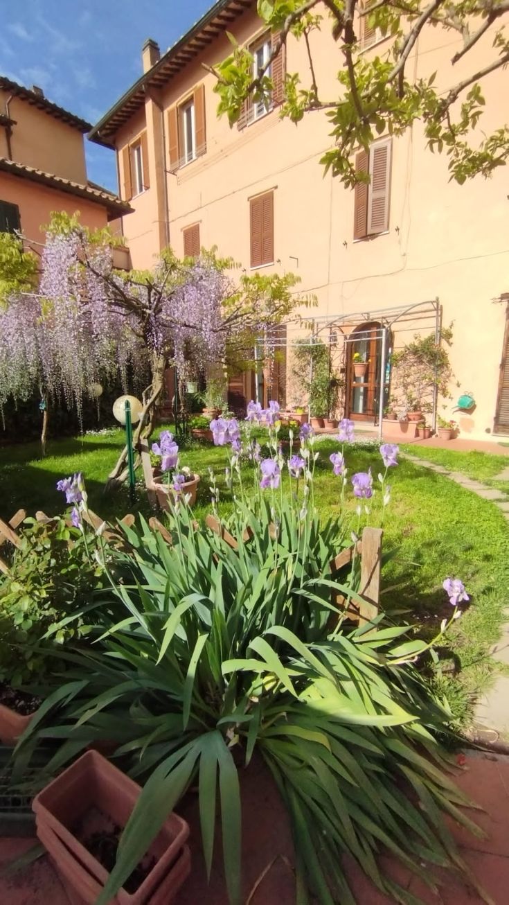 A garden with purple flowers and a warm-colored house, perfect for relaxing moments.
