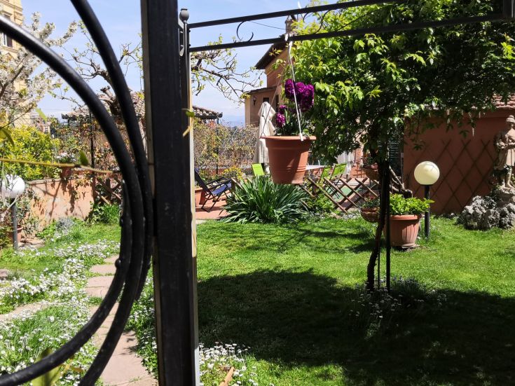 A garden with various plants and flowers, perfect for relaxation and tranquility.