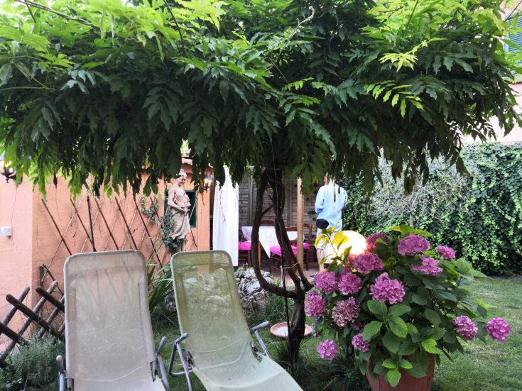 A cozy resting spot with blooming plants and lounge chairs, surrounded by the greenery of a garden.