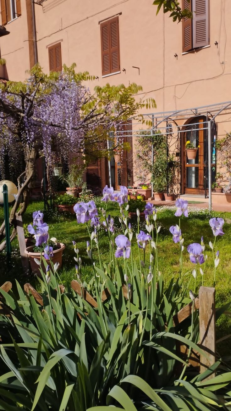 A garden filled with purple flowers and an Italian-style building in the background.