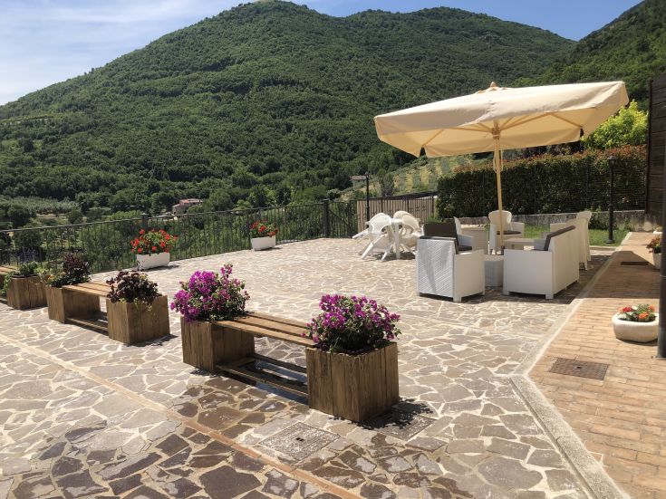 A cozy outdoor space with simple plants and furnishings, surrounded by nature.