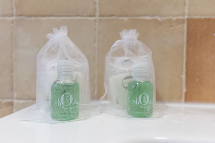 Bouteilles transparentes contenant mini shampoing et gel douche pour les soins personnels.