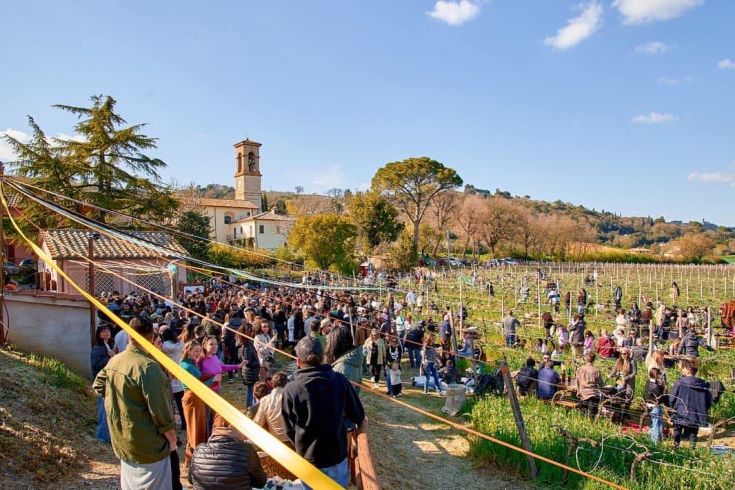 Un gruppo di persone si riunisce nei vigneti per una giornata di vendemmia sotto un cielo chiaro e sereno.