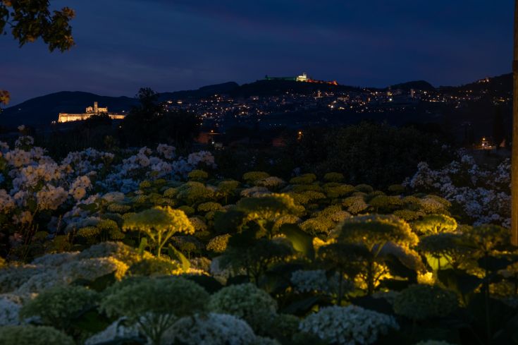 Una scena notturna di Assisi con fiori luminosi in primo piano e il palazzo chiaramente visibile sullo sfondo.