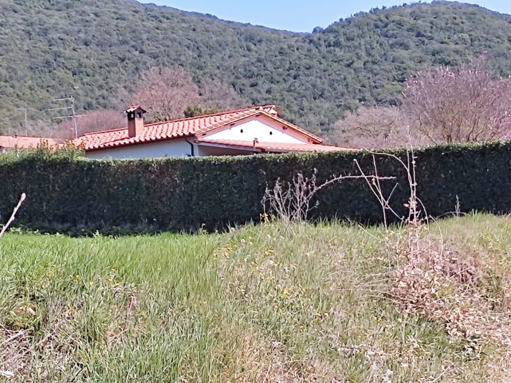 Una casa circondata da vegetazione e colline, che trasmette un'atmosfera di calma e serenità.