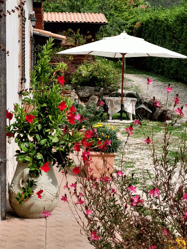 Un angolo tranquillo con fiori dai colori vivaci e un panorama sereno.