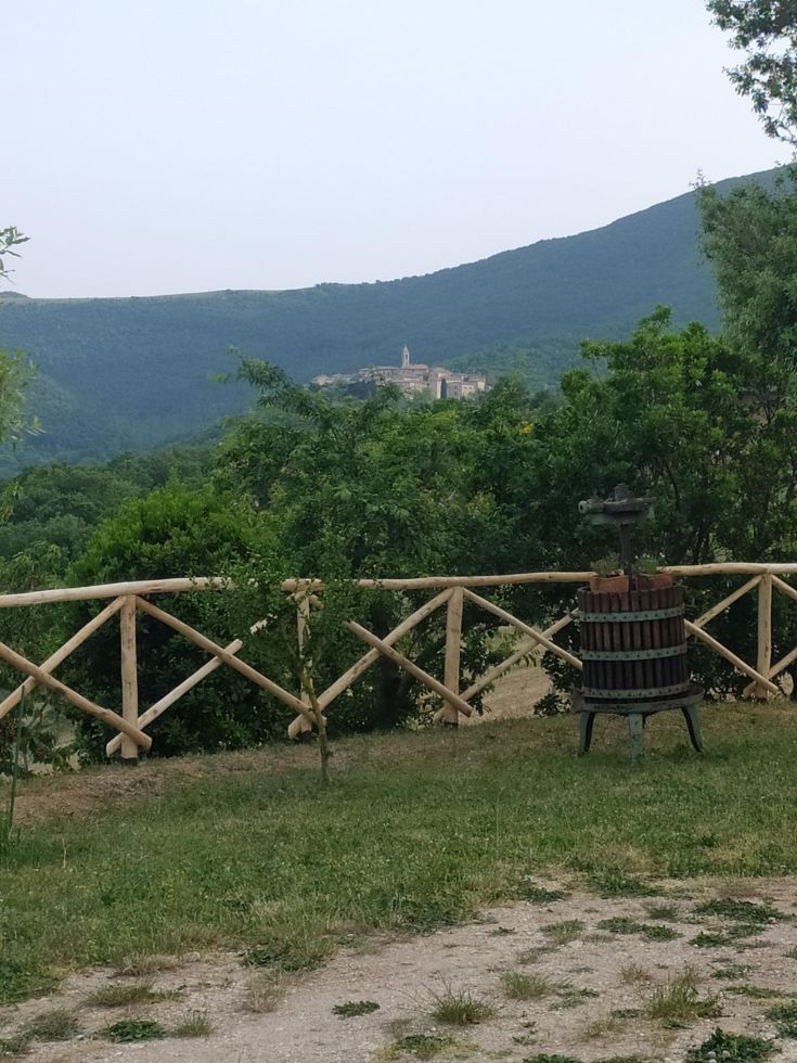 Scena di un borgo arroccato circondato da dolci colline verdi e vegetazione lussureggiante.