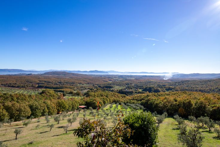 Scena tranquilla di colline e alberi in una giornata serena, immersi nella natura.