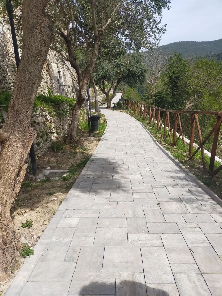 A serene path surrounded by trees and greenery, perfect for peaceful walks.