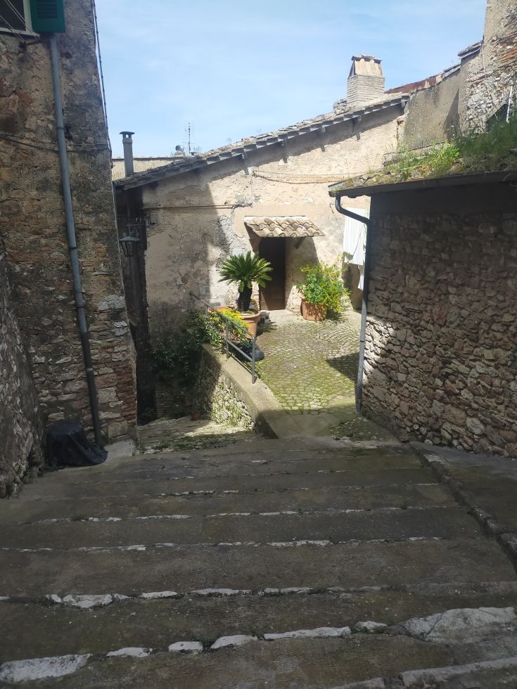 A charming alley in a medieval village, adorned with plants and steps that enhance its atmosphere.