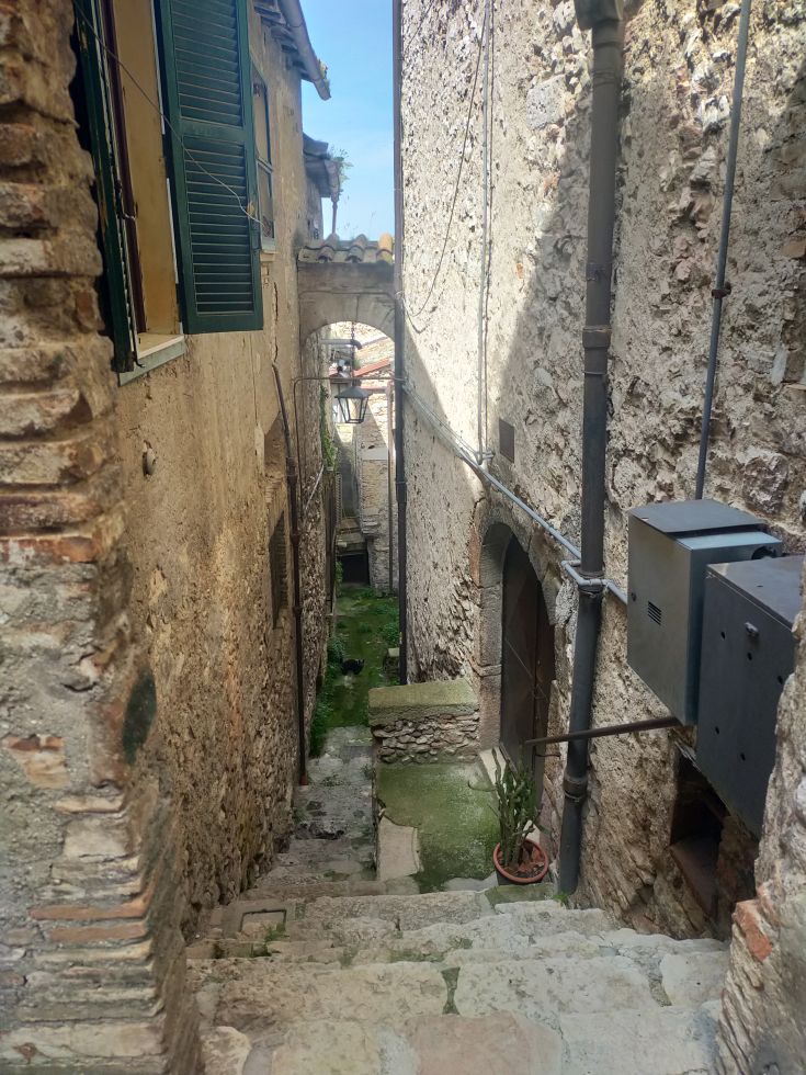 Traditional alley with stone walls and steps, surrounded by greenery and plants.