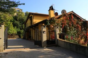 A green palace surrounded by nature with a spacious attic. Perfect for peaceful moments.