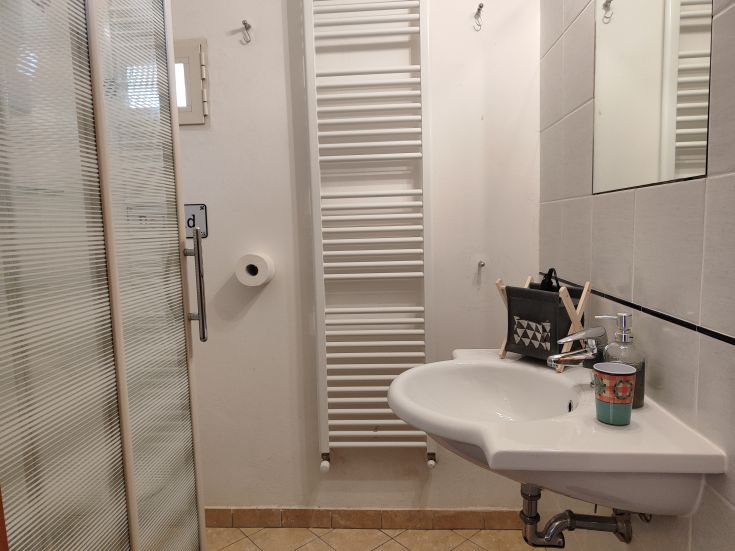 A modern bathroom featuring a sink and shower, designed simply and functionally.