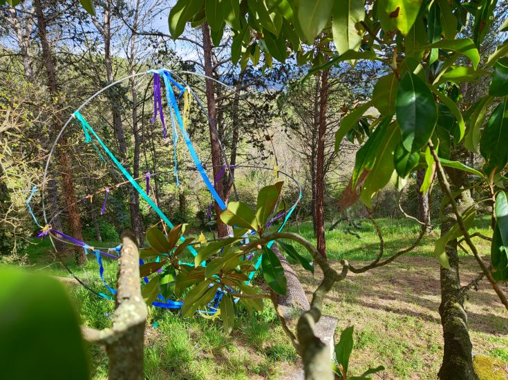 An installation among trees, surrounded by the lush greenery of the forest, featuring vibrant colors that catch the eye.
