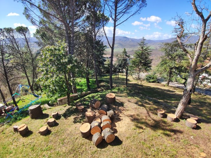 A large garden featuring cut tree trunks and a panoramic view of the countryside.