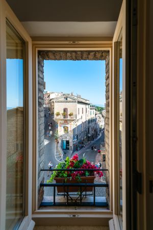 Blick aus einem Fenster auf historische Straßen und blühende Pflanzen.
