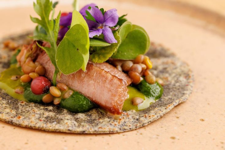 Un plat joliment présenté sur une tortilla, accompagné de légumes frais et de garnitures vertes.