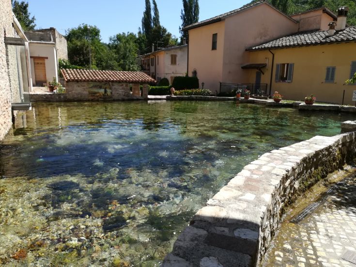 Un panorama su un lago tranquillo circondato da vegetazione, ideale per momenti di relax nella natura.