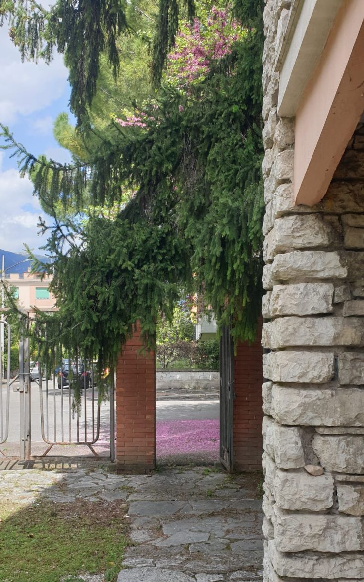 Un angolo rilassante con piante verdi e fiori colorati, che offre un momento di calma.