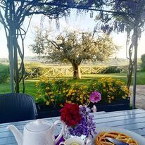 Un coin de tranquillité parmi les oliviers et les fleurs, parfait pour déguster un petit déjeuner paisible.