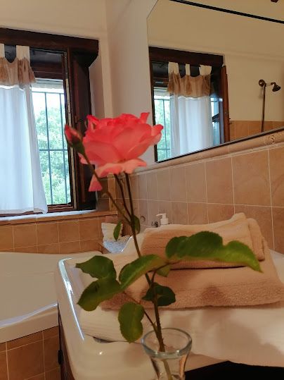 Une rose placée sur une étagère de salle de bain, entourée de serviettes, créant une atmosphère sereine.