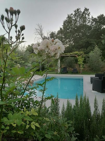 Une zone paisible avec une piscine et des plantes, entourée de verdure.