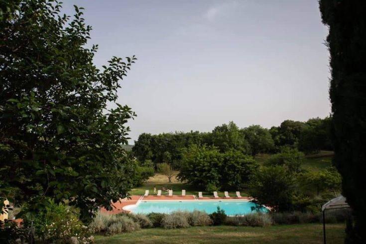 A pool surrounded by greenery, perfect for relaxing and enjoying the tranquility of the place.