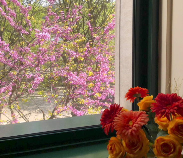Colorful flowers and blooming trees seen through a window, with a bouquet visible in the foreground.