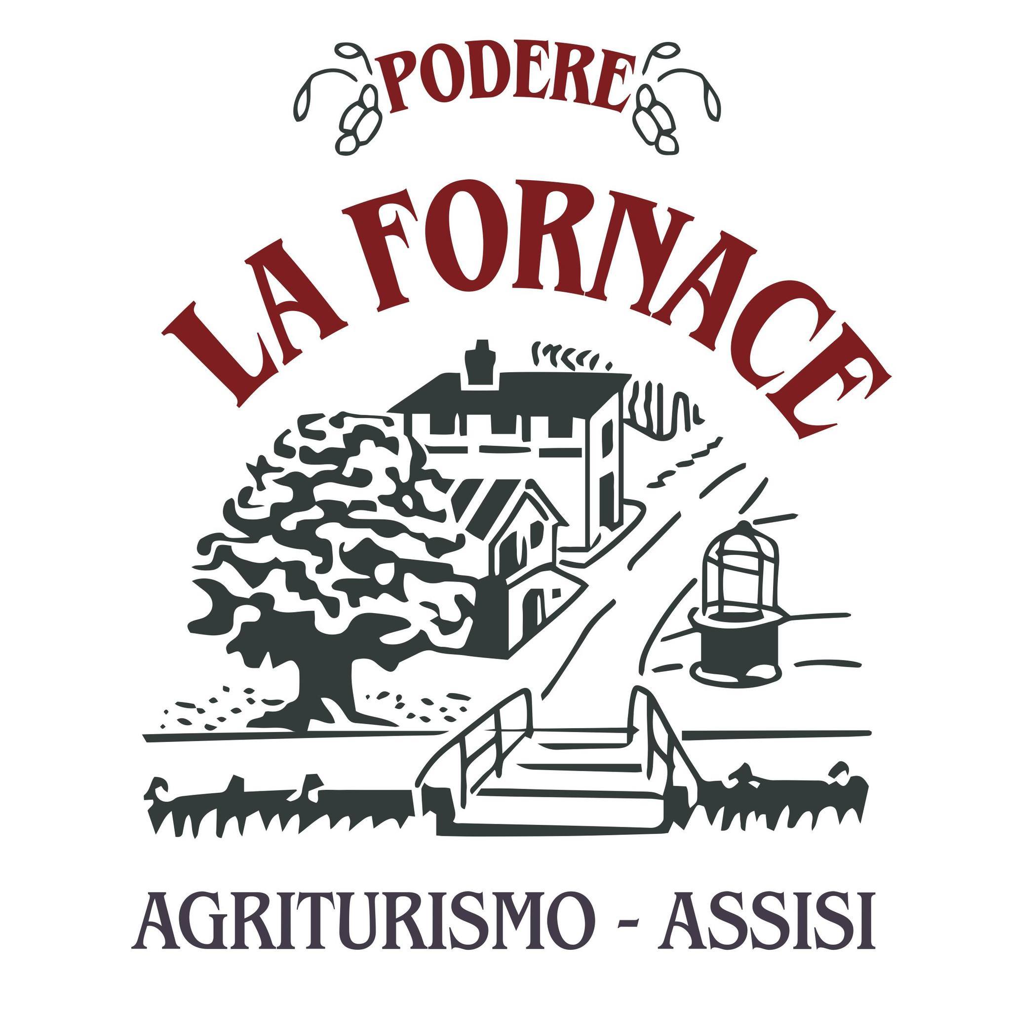 Titolo: PODERE LA FORNACE di Kaul III Howard Edward
