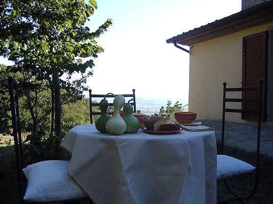 Una tavola all'aperto con decorazioni semplici, circondata dalla natura. Ideale per momenti di relax.