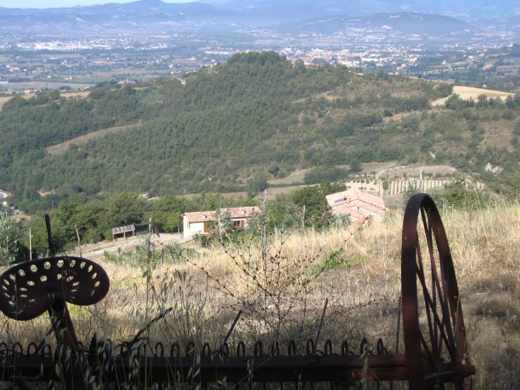 Scena collinare con alberi e case dai toni naturali tipiche della zona.