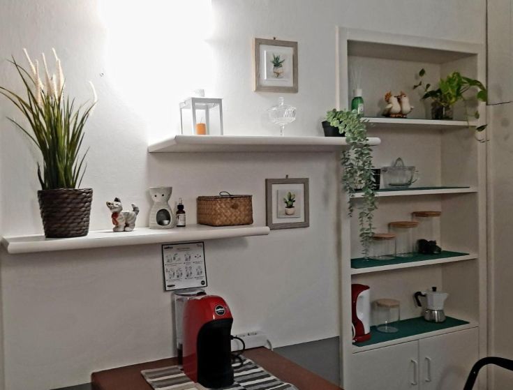 Espace cuisine simple et fonctionnel avec des plantes vertes et des décorations, créant une atmosphère agréable.
