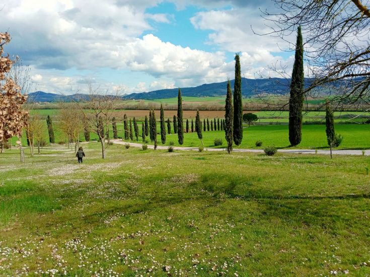 Un paesaggio rurale in Umbria, con filari di cipressi e colline verdi, ideale per una passeggiata tranquilla.