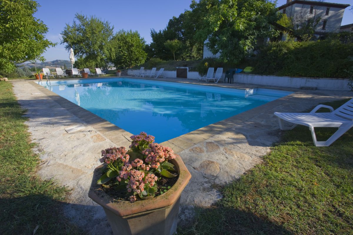Swimming pool surrounded by lush greenery, equipped with loungers for relaxation.