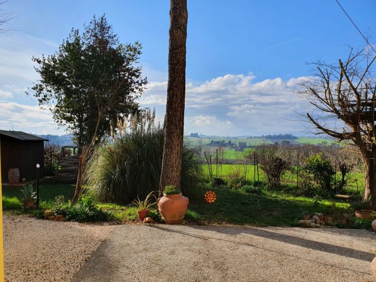 Eine sonnige grüne ländliche Landschaftsszene, perfekt für entspannende Momente.