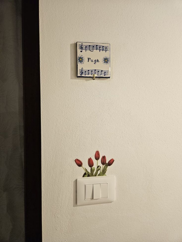 Eine gemütliche Ecke im Haus zeigt einen Haken zum Aufhängen und rote Tulpen neben einem dekorativen Lichtschalter.