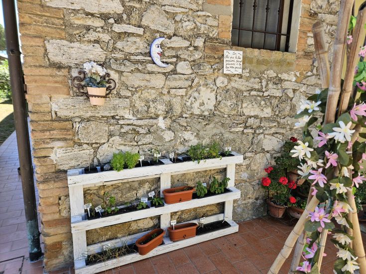 E Ecke mit einem vertikalen Garten, bereichert mit Kräutern und verschiedenen Gemüsesorten.