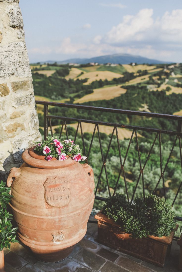 Scena di Saragano con fiori in un vaso grande e colline verdi sullo sfondo.