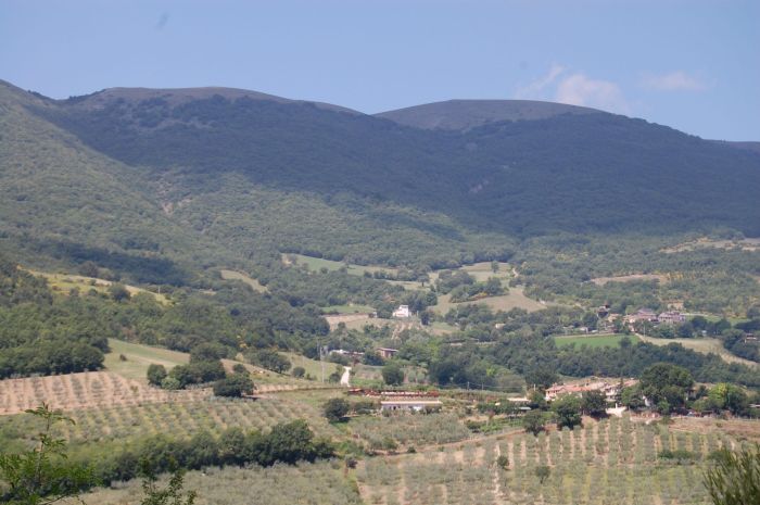 vista della città dove è la fattoria 