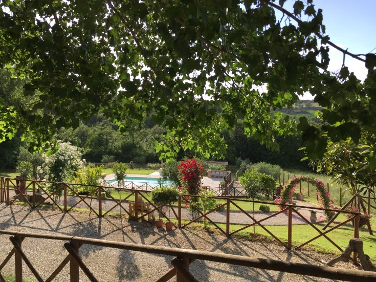 Ein ruhiger Blick auf ein grünes Gebiet mit einem Schwimmbad und blühenden Blumen.