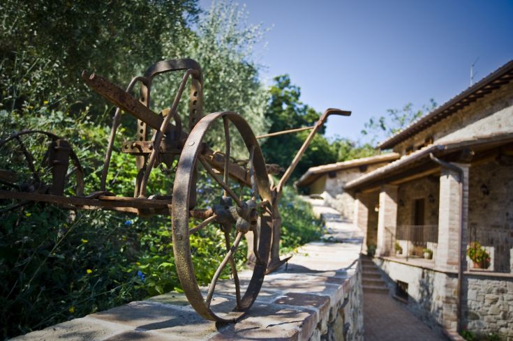 Ein Bogen aus weißen und roten Rosen in einem ruhigen Garten.